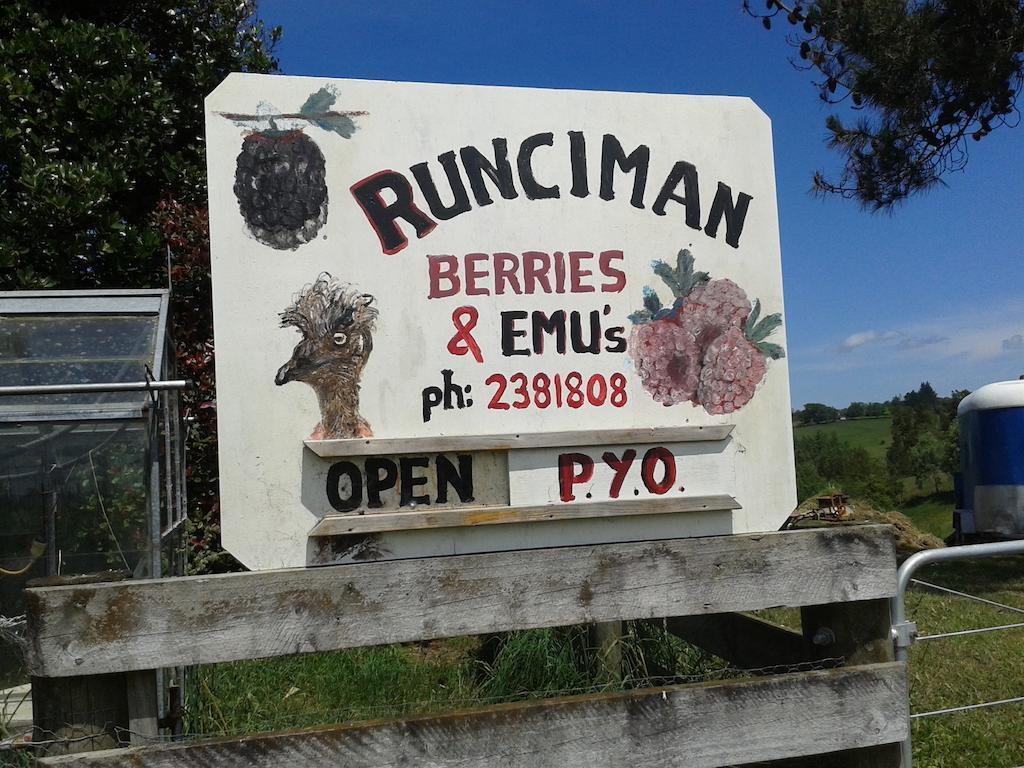 Ramarama Runciman Berries And Emus B&B מראה חיצוני תמונה