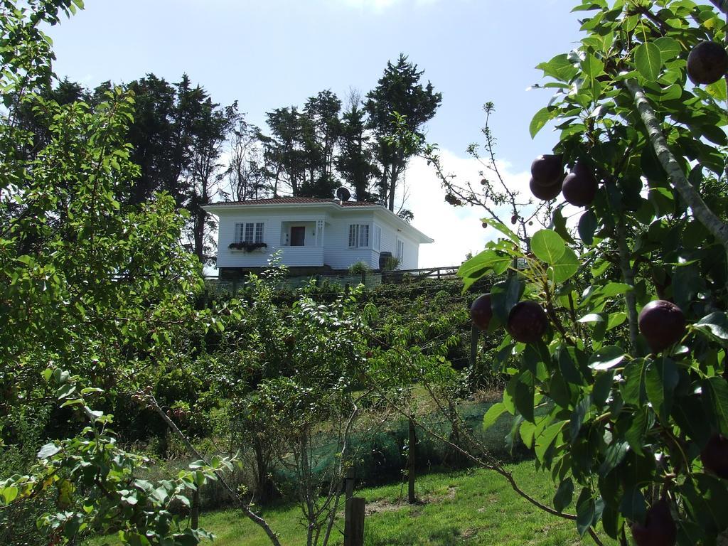 Ramarama Runciman Berries And Emus B&B מראה חיצוני תמונה